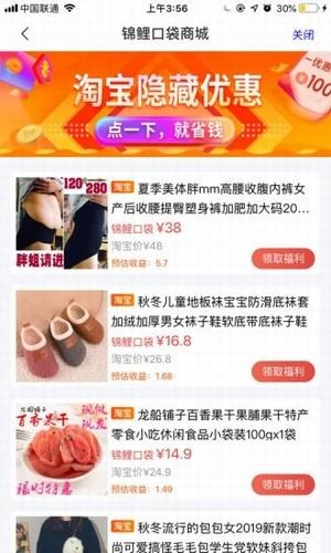 锦鲤口袋