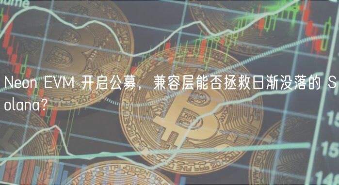 Non VM 开启公募,兼容层能否拯救日渐没落的 Solana?