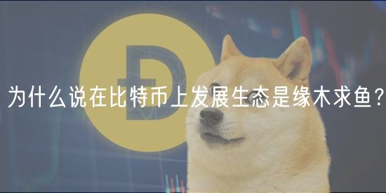 为什么说在比特币上发展生态是缘木求鱼?