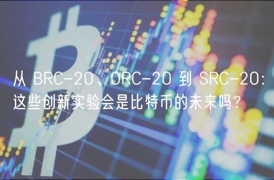 从 BRC-20、ORC-20 到 SRC-20:这些创新实验会是比特币的未来吗?