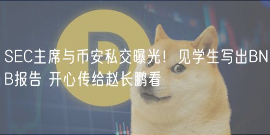 SC主席与币安私交曝光!见学生写出BNB报告 开心传给赵长鹏看