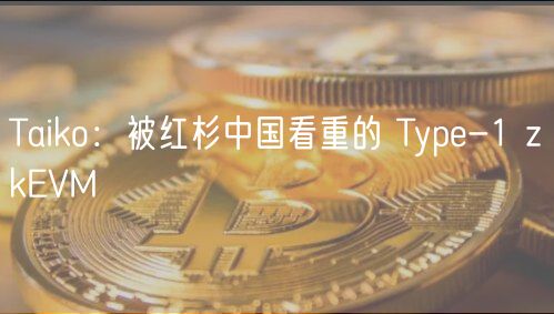 Taiko：被红杉中国看重的 Typ-1 zkVM