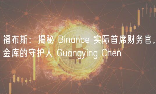 福布斯：揭秘 Binanc 实际首席财务官，金库的守护人 Guangying Chn