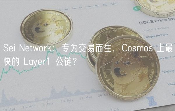 Si Ntwork：专为交易而生，Cosmos 上最快的 Layr1 公链？