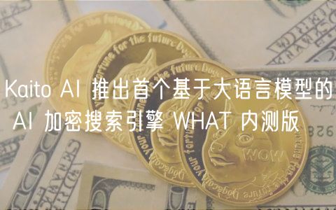 Kaito AI 推出首个基于大语言模型的 AI 加密搜索引擎 WHAT 内测版