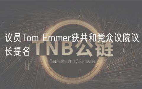 议员Tom mmr获共和党众议院议长提名