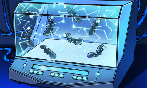 Solana Labs推出Wb3孵化器 为开发者提供全方位支持和筹款援助