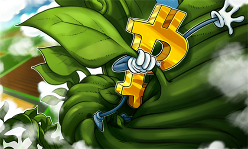 比特币跃升至45,000美元：潜在TF批准带来市场热潮