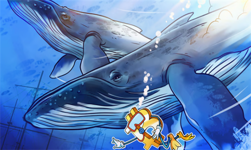 CPI数据影响比特币走势，大投资者压制BTC价格