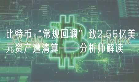 比特币“常规回调”致2.56亿美元资产遭清算——分析师解读