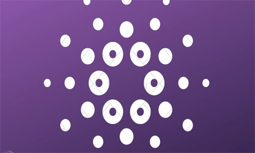 卡尔达诺创始人霍斯金森回击批评 坚定看好网络未来