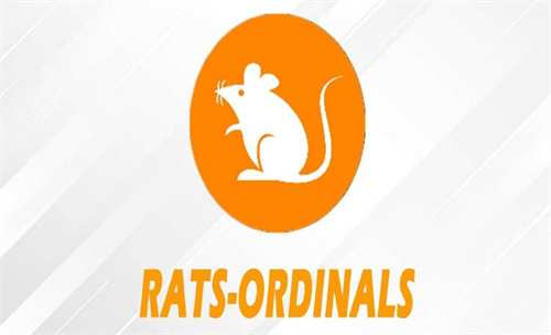 RATS币是如何爆火的? 深入探讨RATS币爆火原因