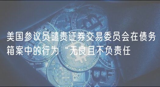 美国参议员谴责证券交易委员会在债务箱案中的行为“无良且不负责任
