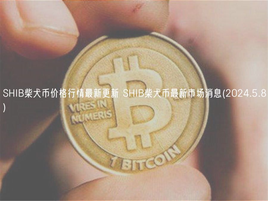 SHIB柴犬币价格行情最新更新 SHIB柴犬币最新市场消息 _ 2024.5.8
