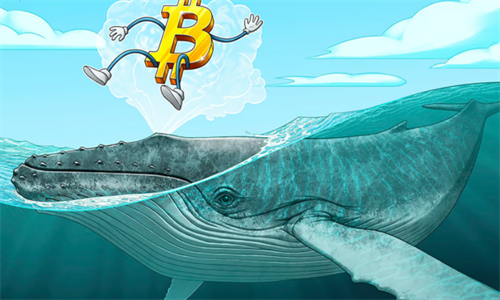 比特币鲸鱼持仓量持续增长 预计价格将进一步上涨