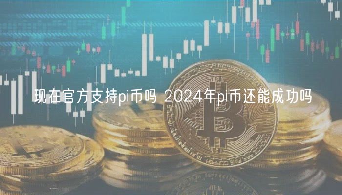 现在官方支持pi币吗 2024年pi币还能成功吗