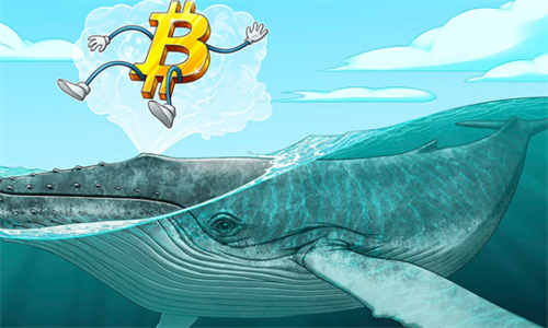 比特币鲸鱼助力反弹 7万美元成支撑新高