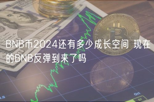 BNB币2024还有多少成长空间 现在的BNB反弹到来了吗