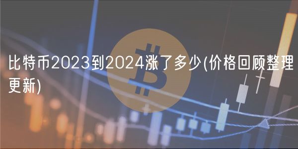 比特币2023到2024涨了多少 _ 价格回顾整理更新