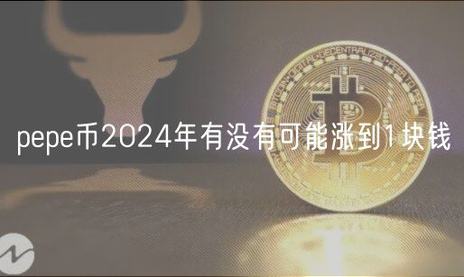 pp币2024年有没有可能涨到1块钱