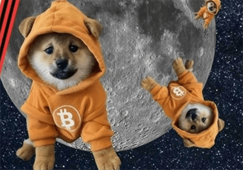 DOG•GO•TO•TH•MOON是什么类型的加密货币?