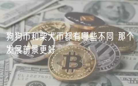 狗狗币和柴犬币都有哪些不同 那个发展前景更好