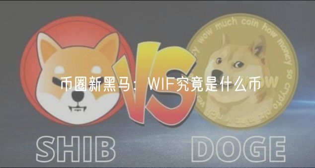 币圈新黑马：WIF究竟是什么币