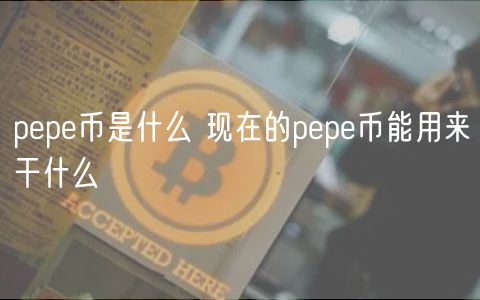 pp币是什么 现在的pp币能用来干什么