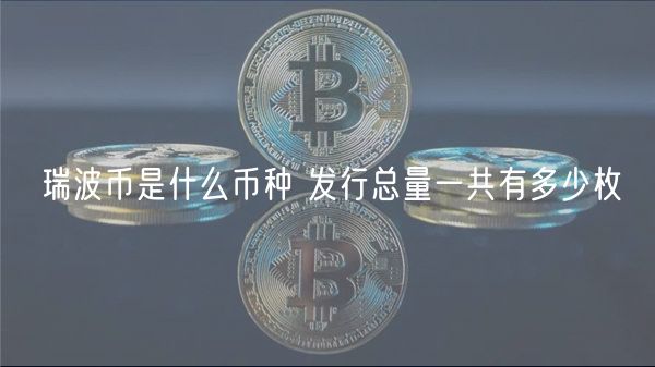 瑞波币是什么币种 发行总量一共有多少枚