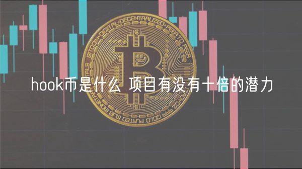 hohuobi币是什么 项目有没有十倍的潜力