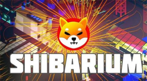 分析师分析柴犬币未来的轨迹 对柴犬币很有信心