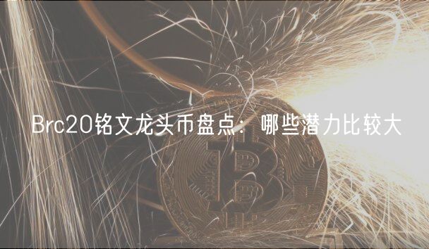 Brc20铭文龙头币盘点：哪些潜力比较大