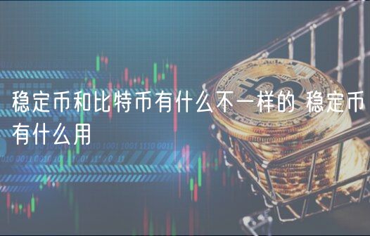 稳定币和比特币有什么不一样的 稳定币有什么用