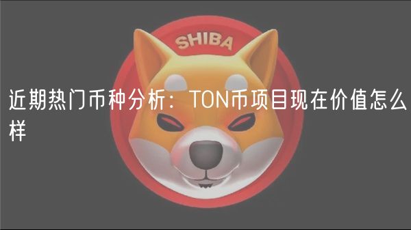 近期热门币种分析：TON币项目现在价值怎么样