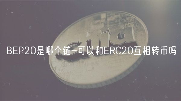 BP20是哪个链-可以和RC20互相转币吗