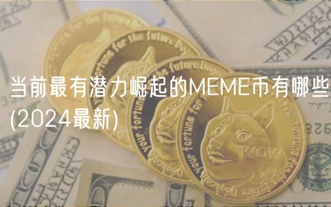 当前最有潜力崛起的MM币有哪些 _ 2024最新