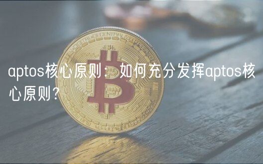 aptos核心原则:如何充分发挥aptos核心原则?