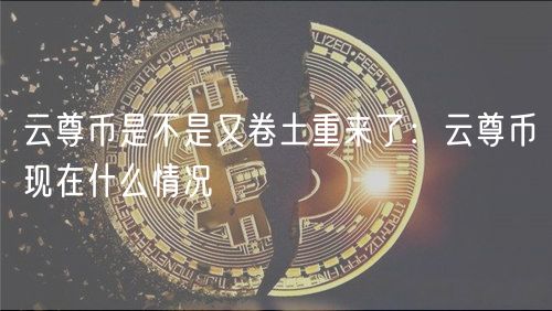 云尊币是不是又卷土重来了:云尊币现在什么情况